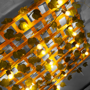 Metro cuadrado madera con matas y luces